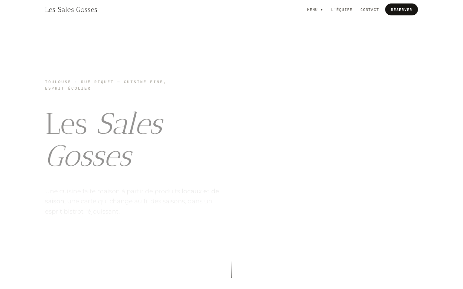 Aperçu du site Les Sales Gosses
